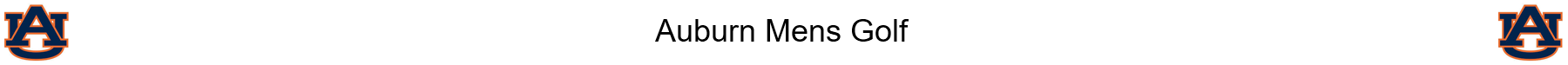 Banner 99